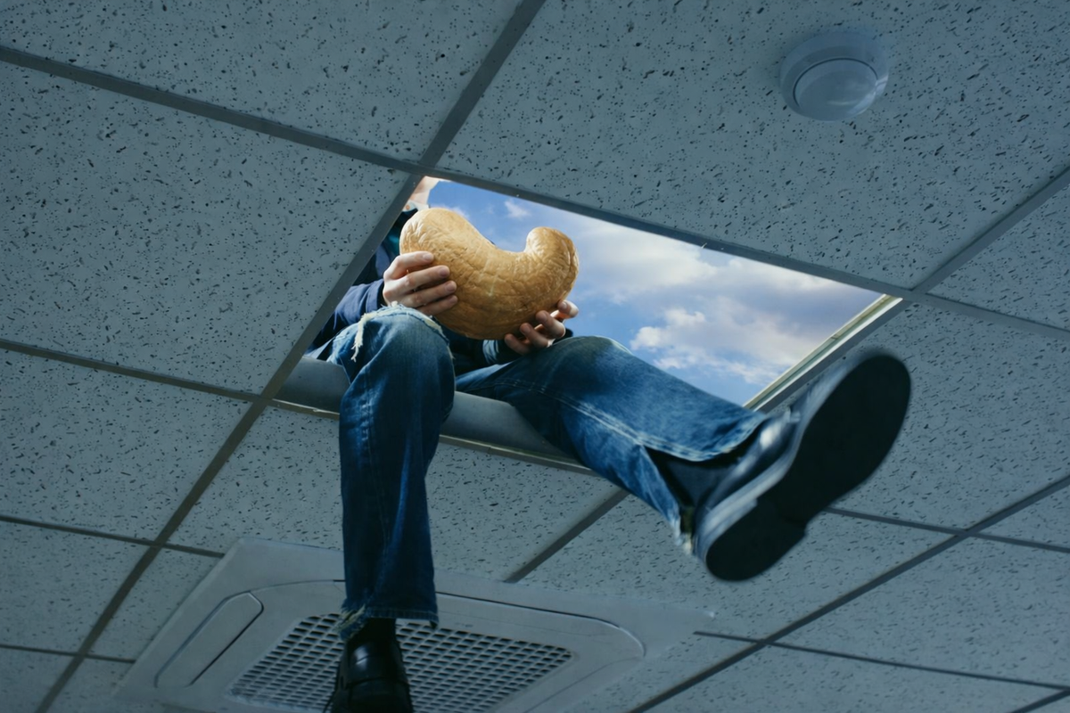 Cashu Highlights Q4/25